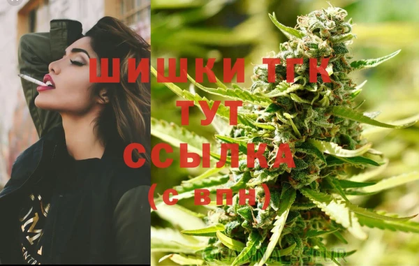 ПСИЛОЦИБИНОВЫЕ ГРИБЫ Волосово