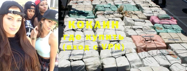 дживик Верея