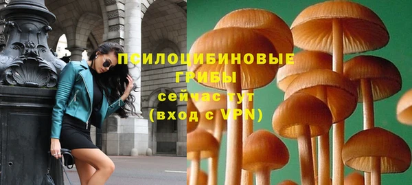 ПСИЛОЦИБИНОВЫЕ ГРИБЫ Волосово