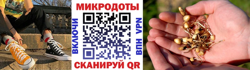 закладка  mega онион  Галлюциногенные грибы ЛСД  Нижнекамск 